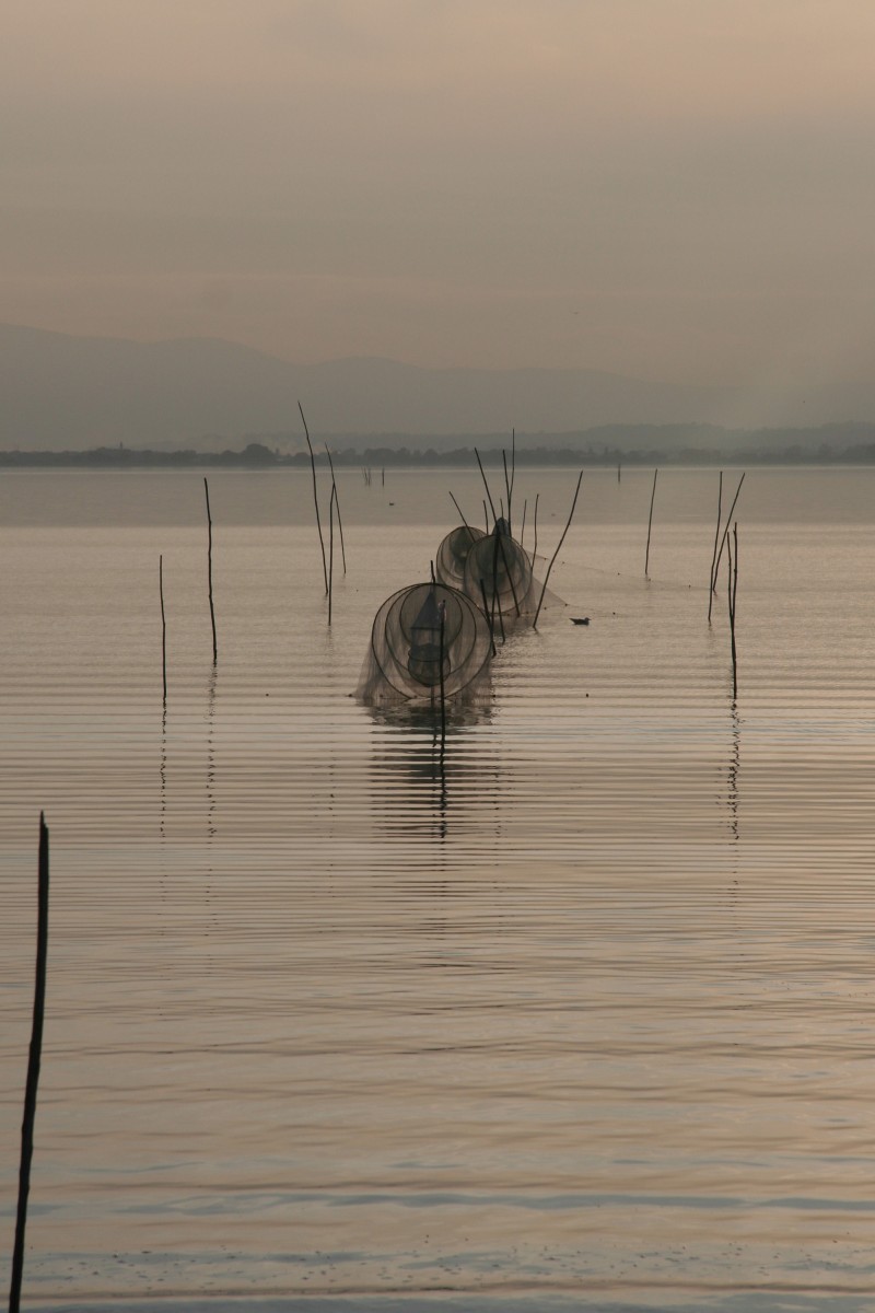 Nasses au Lago Trasimeno. Photo © Alex Medwedeff
