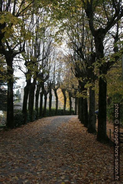 Giardini della Fortezza di Montepulciano. Photo © Alex Medwedeff