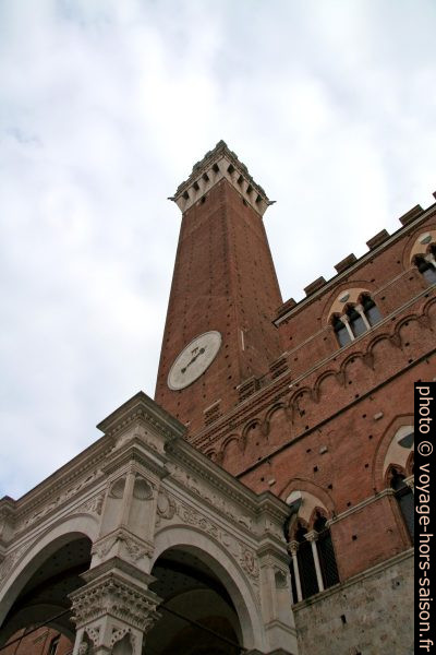 Torre del Mangia. Photo © André M. Winter