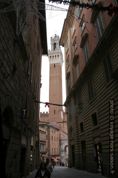 Il Torre del Mangia. Photo © André M. Winter
