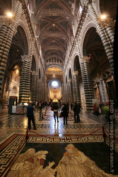 Nef du Duomo di Siena. Photo © André M. Winter