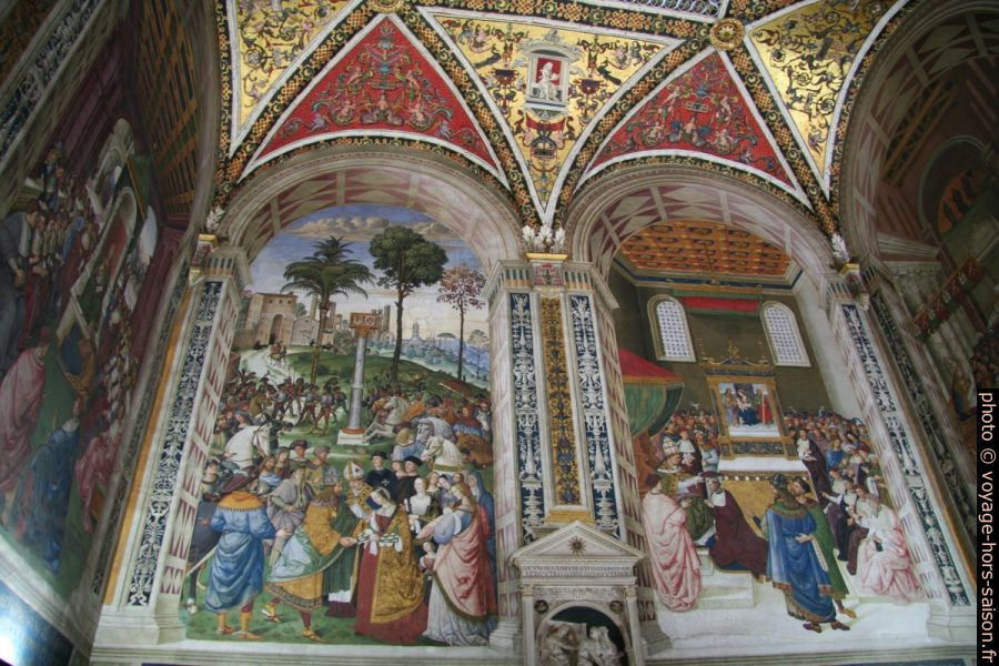 Fresques de la Libreria Piccolomini. Photo © André M. Winter