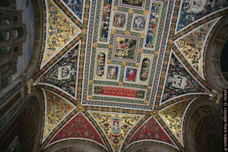 Fresques du plafond de la Libreria Piccolomini. Photo © André M. Winter