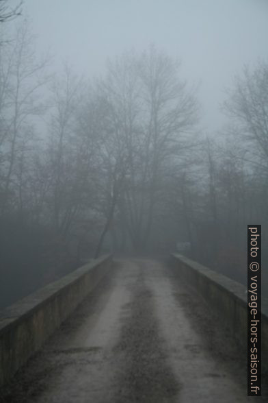 Pont sur l'Arno dans la brume. Photo © Alex Medwedeff