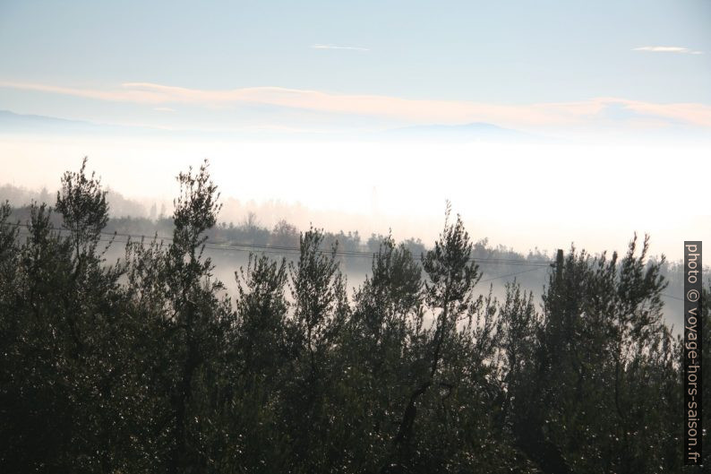 Brouillard dans la plaine de l'Arno. Photo © Alex Medwedeff