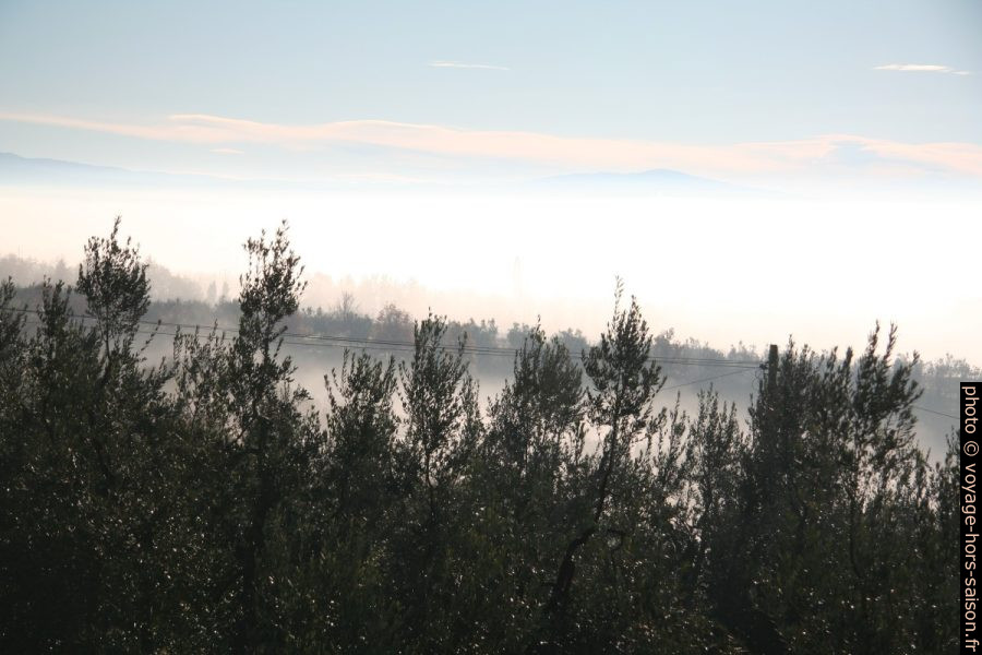 Brouillard dans la plaine de l'Arno. Photo © Alex Medwedeff