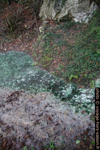Algues vertes et dépots blancs dans une flaque d'eau chaude à Bagni San Filippo. Photo © André M. Winter