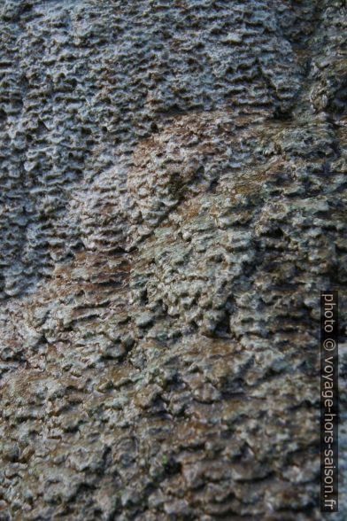 Dépot de calcite à Bagni San Filippo. Photo © André M. Winter