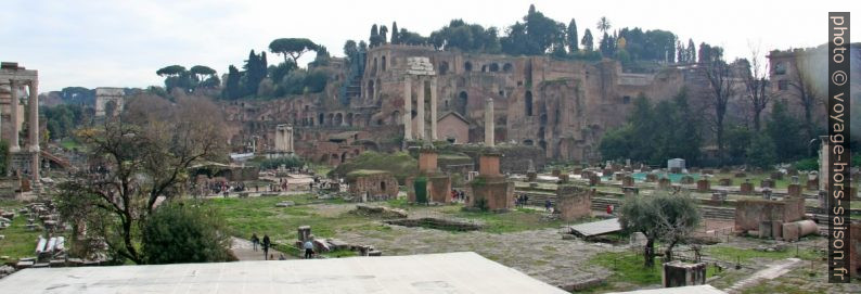 Forum romain et Palatin au fond. Photo © André M. Winter