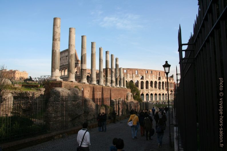 Colonnes du Temple de Vénus et de Rome et le Colisée. Photo © André M. Winter