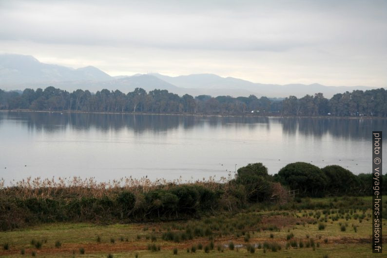 Lago di Fogliano. Photo © André M. Winter