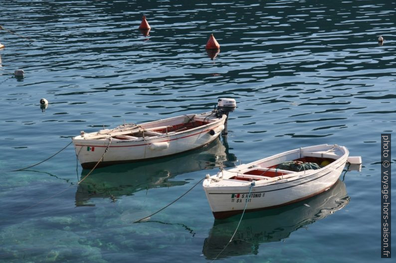 Petites barques dans le port de Palinuro. Photo © Alex Medwedeff