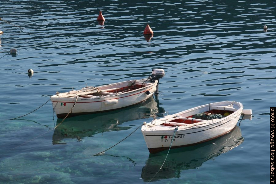 Petites barques dans le port de Palinuro. Photo © Alex Medwedeff
