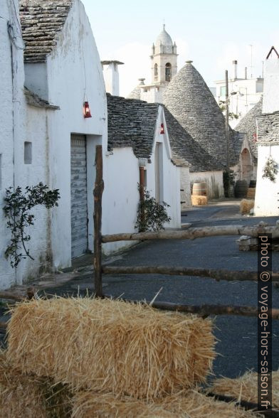 Trulli et un clocher d'Alberobello. Photo © Alex Medwedeff