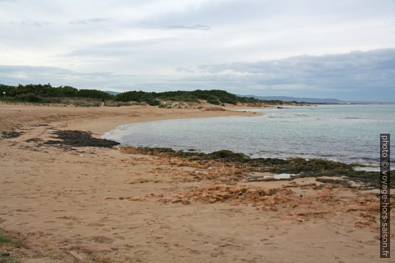 Spiaggia du Pilone. Photo © Alex Medwedeff