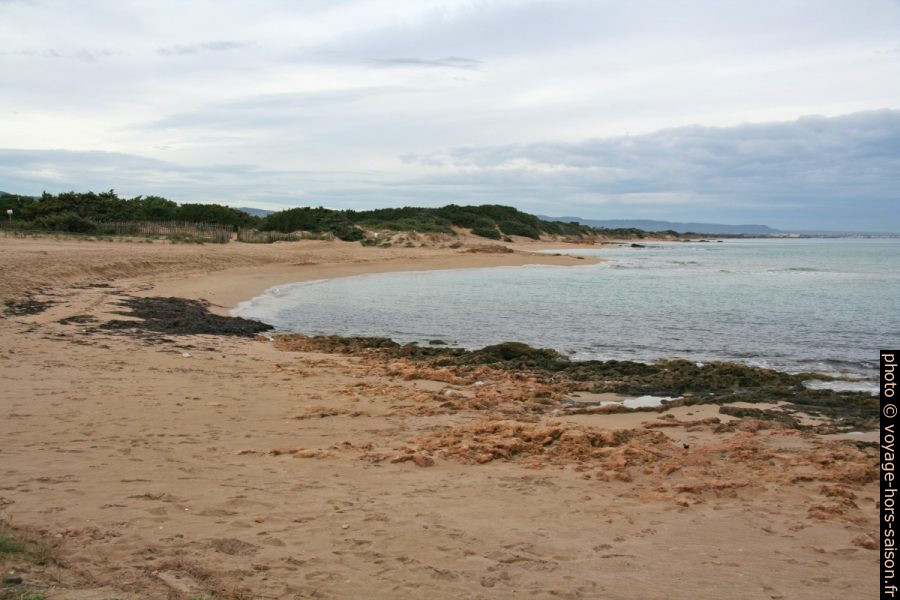 Spiaggia du Pilone. Photo © Alex Medwedeff