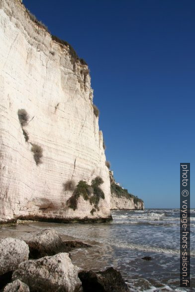 Côte calcaire de Vieste. Photo © André M. Winter