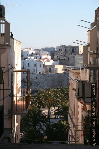 Maisons de Vieste. Photo © Alex Medwedeff