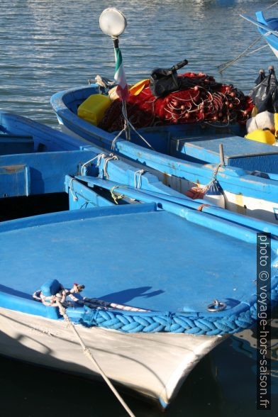 Petits bateaux de pêche. Photo © Alex Medwedeff