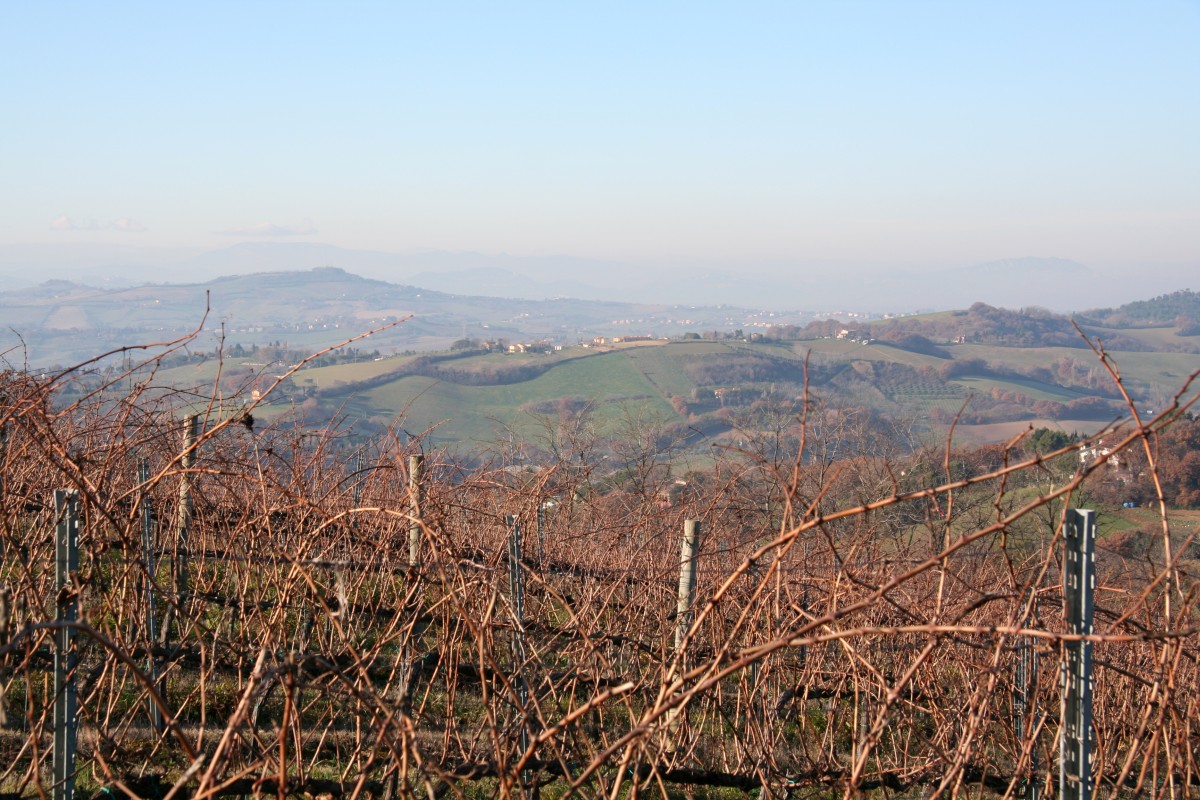 Arrière-pays de Pesaro. Photo © Alex Medwedeff