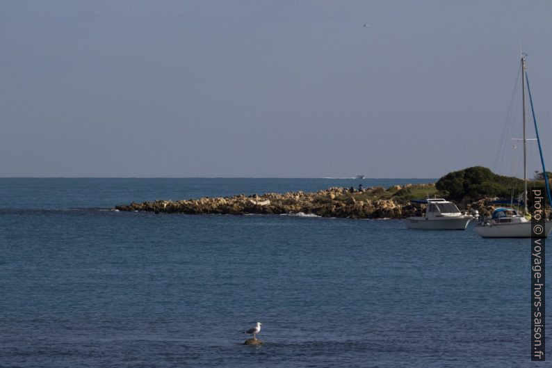 Pointe nord du Cap Gros. Photo © André M. Winter