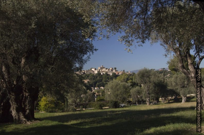 Vieux Cagnes vu du jardin du Domaine des Collettes. Photo © André M. Winter