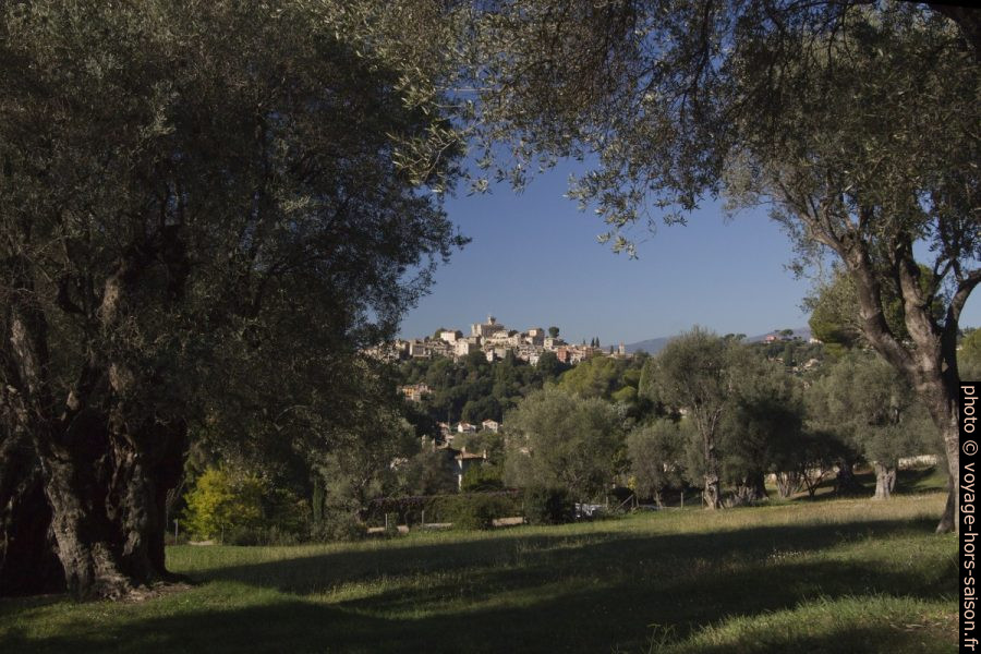 Vieux Cagnes vu du jardin du Domaine des Collettes. Photo © André M. Winter