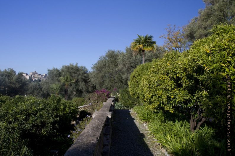 Jardin en terrasses sous la villa Renoir. Photo © Alex Medwedeff