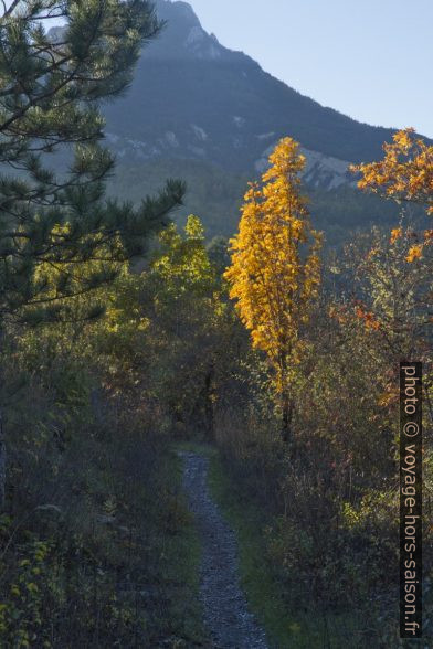 Sur le chemin du Bas du Serre. Photo © Alex Medwedeff