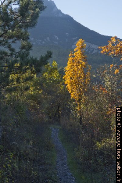 Sur le chemin du Bas du Serre. Photo © Alex Medwedeff