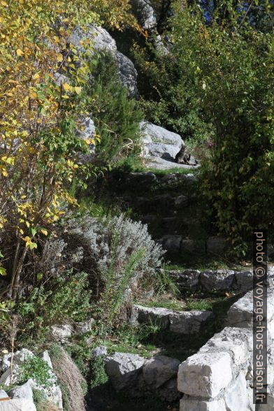 Escalier montant entre les rochers. Photo © Alex Medwedeff