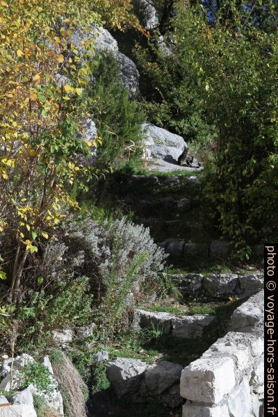 Escalier montant entre les rochers. Photo © Alex Medwedeff