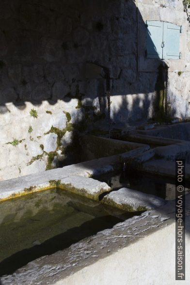 Bassins du lavoir de Rougon. Photo © Alex Medwedeff