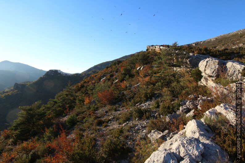 Barre de l'Aigle avec vautours en vol. Photo © André M. Winter