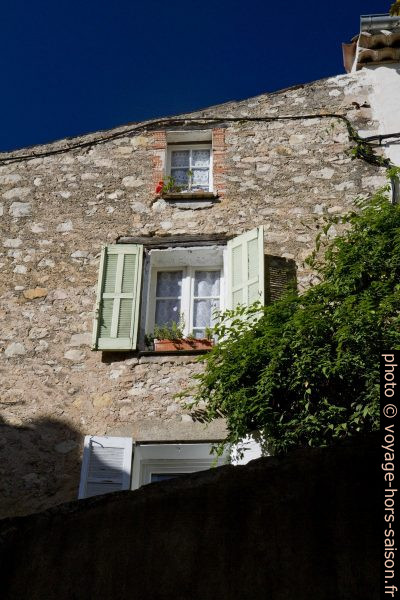Fenêtres. Photo © Alex Medwedeff