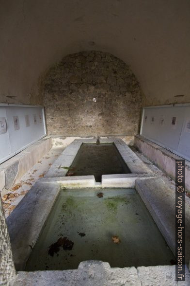 Vue dans le lavoir du Thouron. Photo © André M. Winter