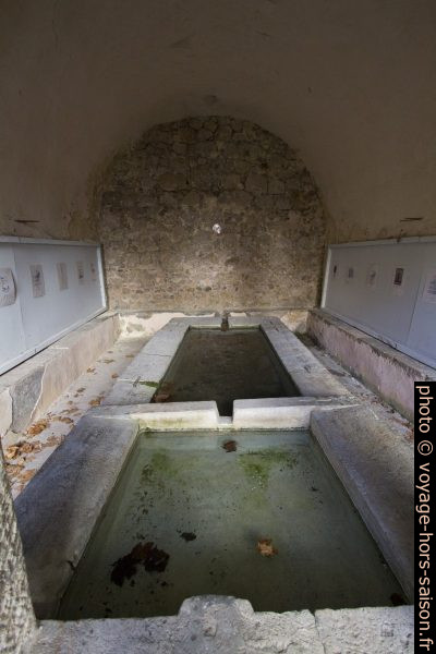 Vue dans le lavoir du Thouron. Photo © André M. Winter