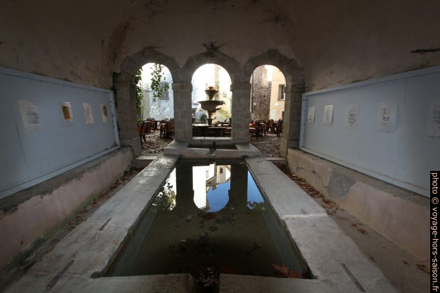Dans le lavoir du Thouron. Photo © André M. Winter