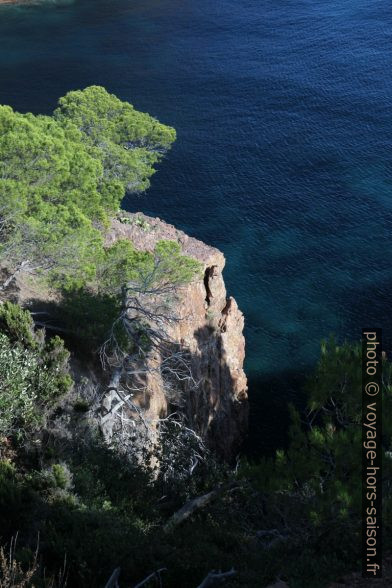 La Mare Règue du Cap Dramont. Photo © Alex Medwedeff