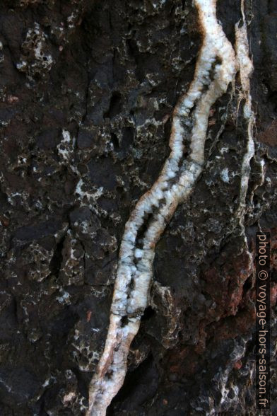 Cristaux blancs dans une fissures de rhyolite sombre. Photo © André M. Winter