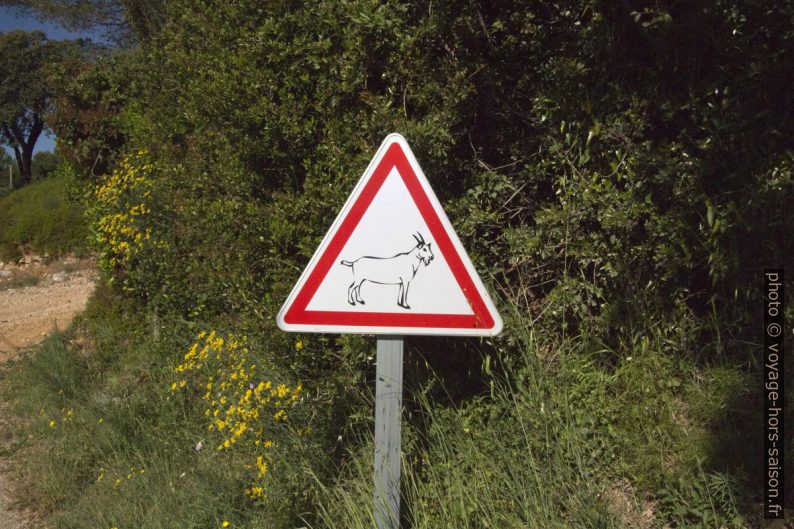 Panneau attention aux chèvres. Photo © André M. Winter