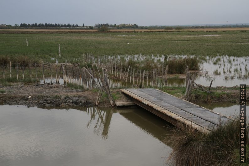 Un pont dans les marais du Vieux Vistre. Photo © Alex Medwedeff