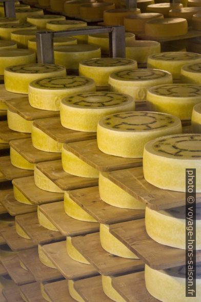 Affinement des meules de fromage d'Appenzell. Photo © Alex Medwedeff