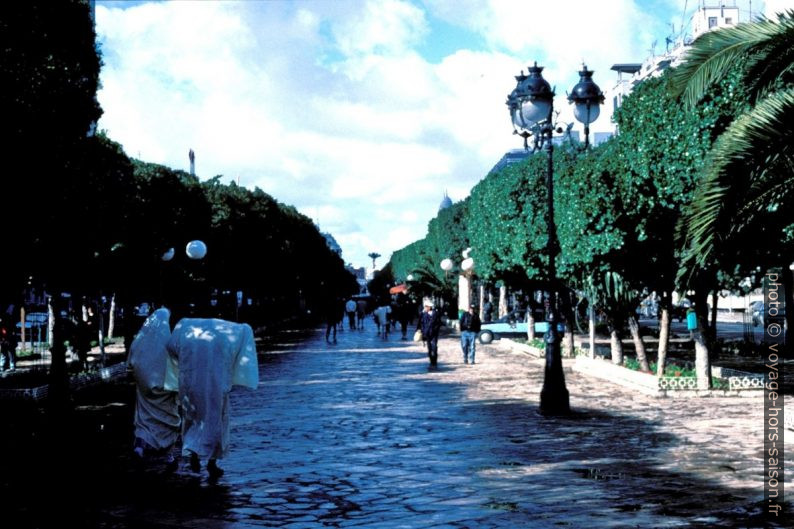 Avenue Habib Bourguiba شارع الحبيب بورقيبة à Tunis. Photo © Leonhard Schwarz