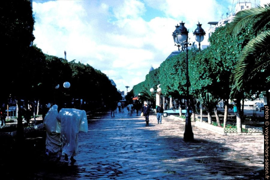 Avenue Habib Bourguiba شارع الحبيب بورقيبة à Tunis. Photo © Leonhard Schwarz