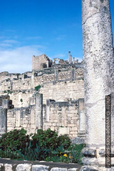 Villa du Trifolium à Dougga. Photo © André M. Winter