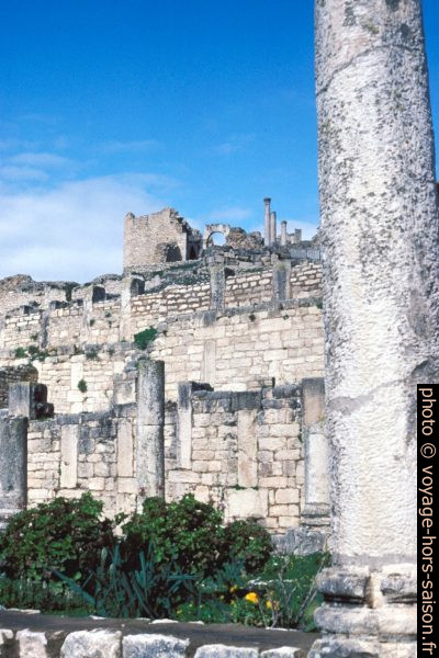 Villa du Trifolium à Dougga. Photo © André M. Winter