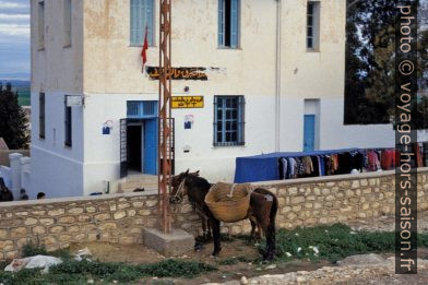 La poste et un parking d'ânes à Kalat Es-Senan. Photo © André M. Winter