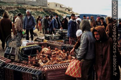 Au marché de Kalat Es-Senan. Photo © André M. Winter