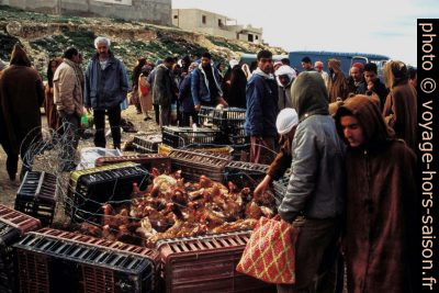 Au marché de Kalat Es-Senan. Photo © André M. Winter